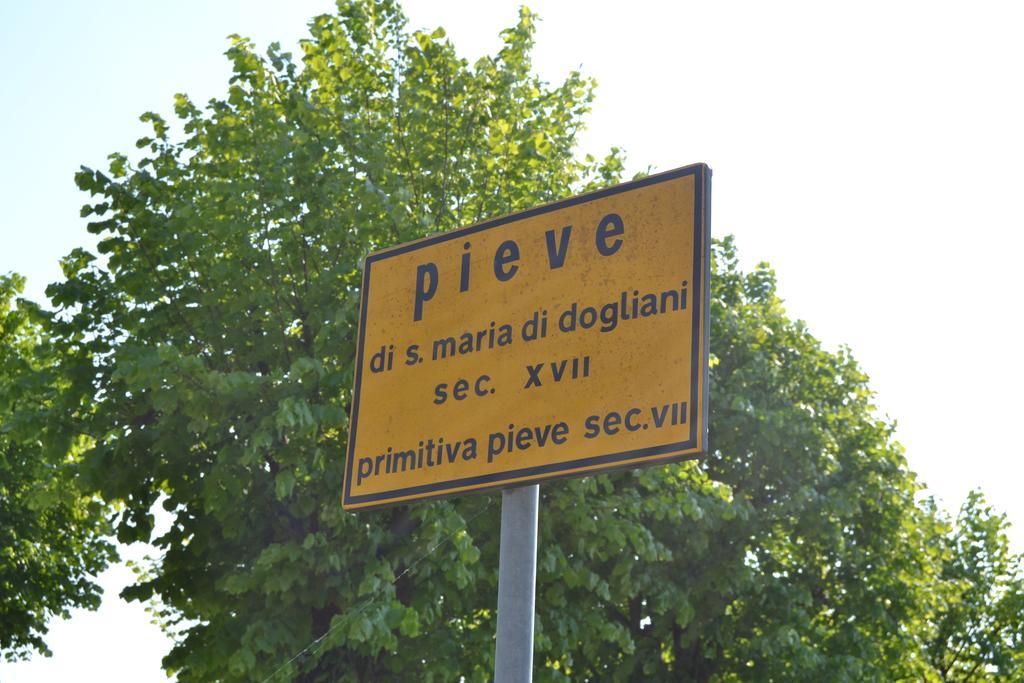 Agriturismo La Pieve Farm stay